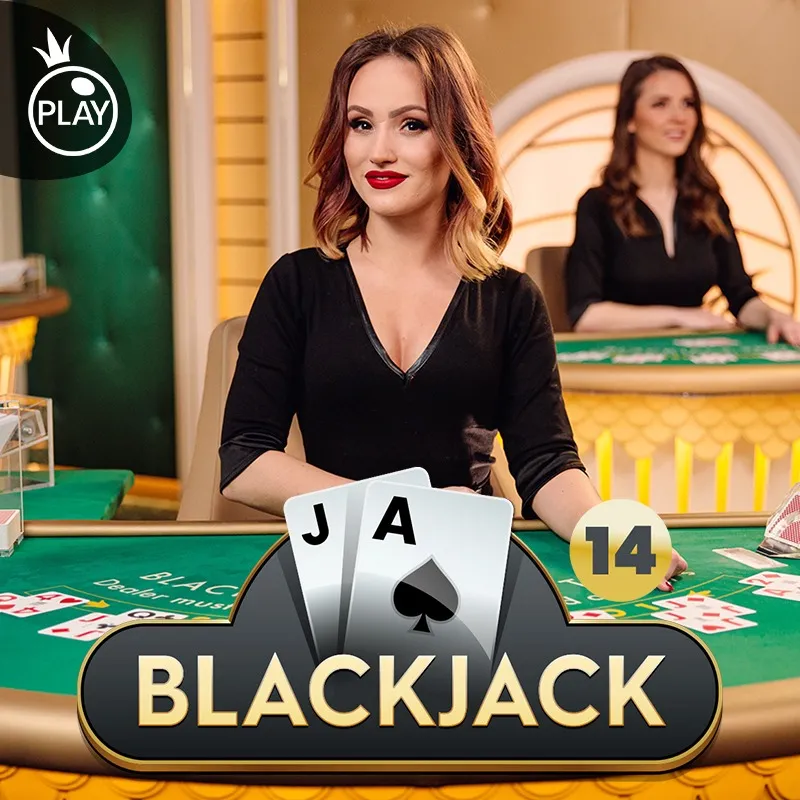 ckbet plataforma