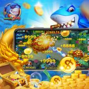 4555bet